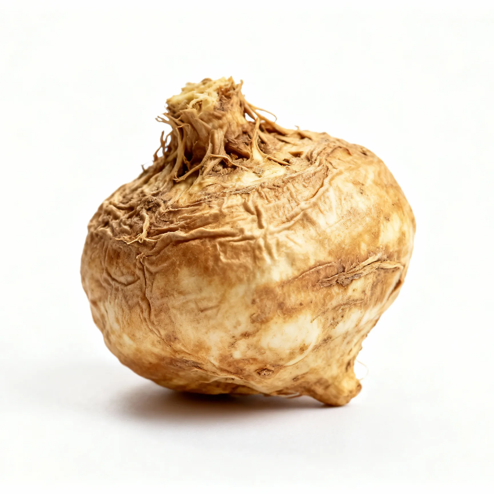Raíz de Maca - superalimento energizante natural